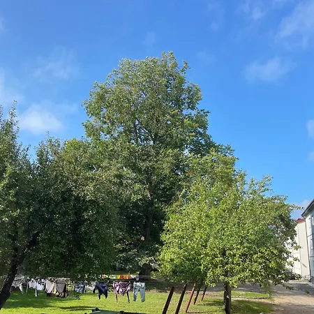 Cozy Place In Town Center Kuressaare Exterior photo